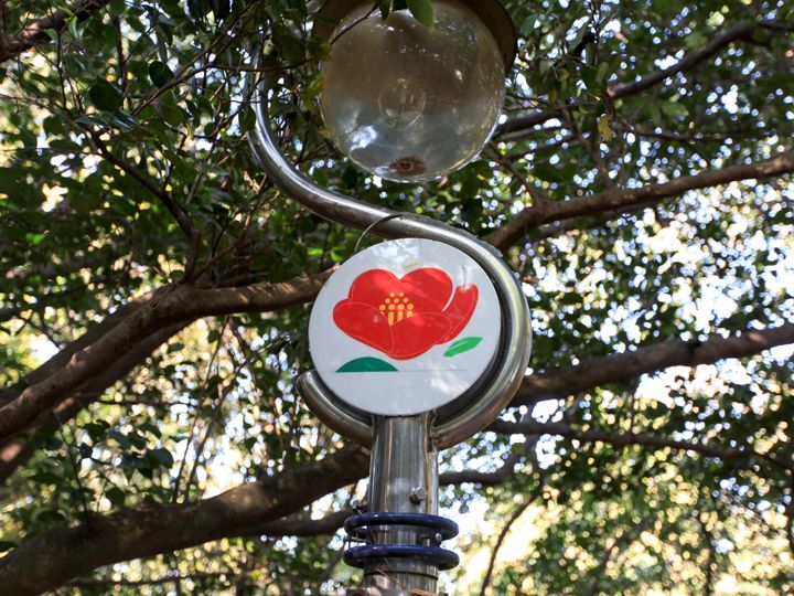 島内の街灯にも名物の椿が描かれています。