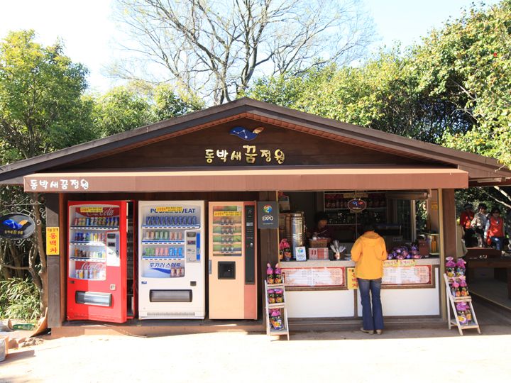 灯台前にある売店。梧桐島ならではの椿茶(トンベッチャ)も飲むことができます。