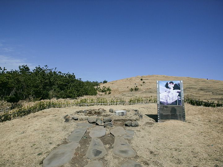 「連理の枝」で登場した木の跡地