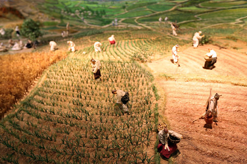 韓国の伝統農耕組織「ドゥレ」