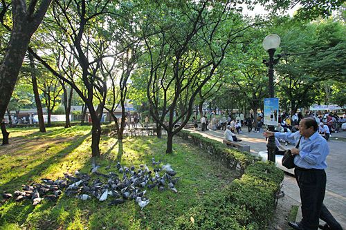 韓国語の動物名と鳴き声 韓国語 ハングル 韓国旅行 コネスト 韓国語の動物名と鳴き声 韓国語 ハングル 韓国旅行 コネスト