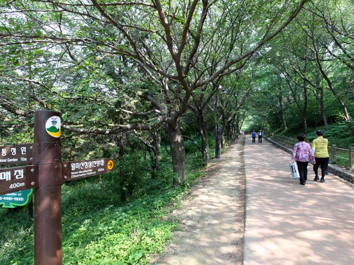 森林浴を楽しみながら歩ける
月尾山中腹の循環路は
仁川市民絶好の散策路となっている。