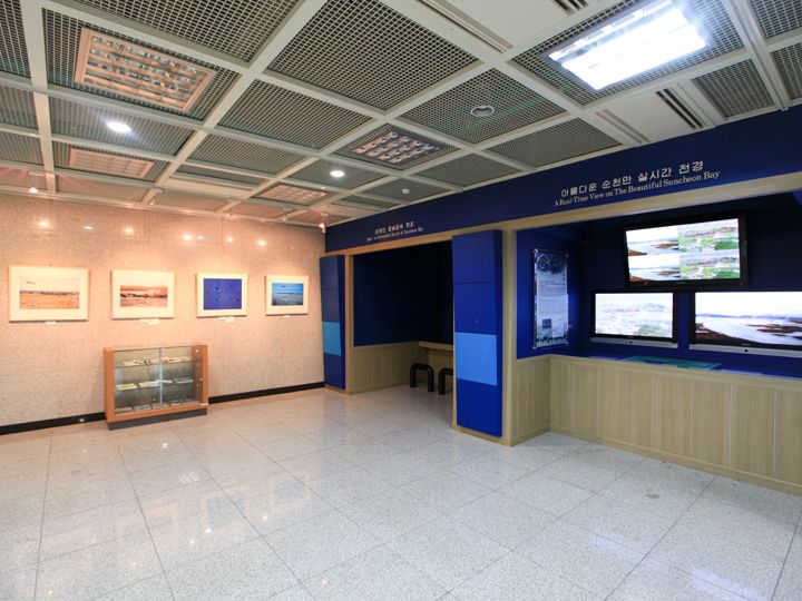 生態館内には順天湾に関する数々の展示があります。