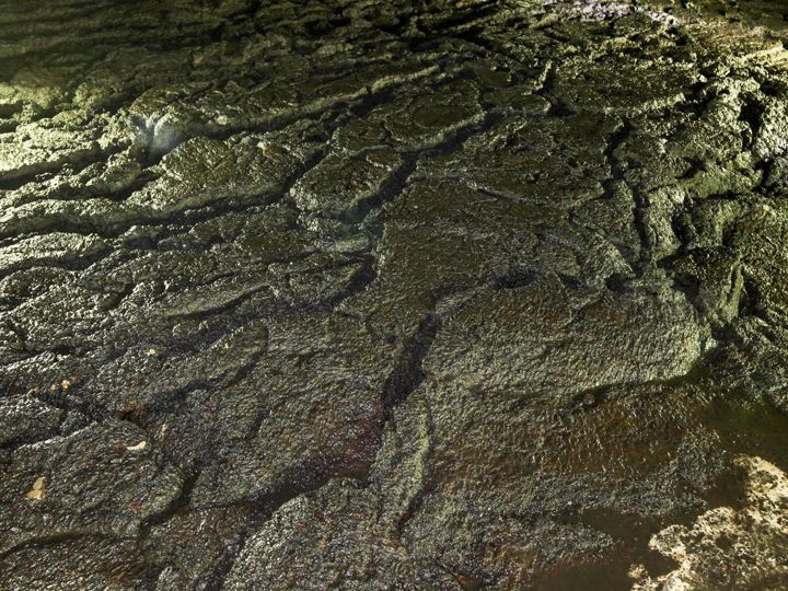 デコボコした地面が続く。水たまりも多い