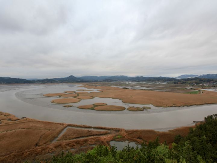 「順天湾湿地」の龍山展望台から