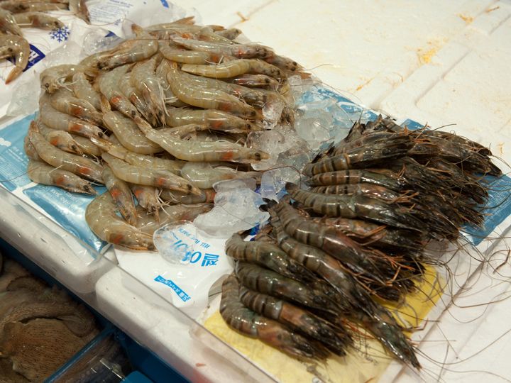 人気のエビ