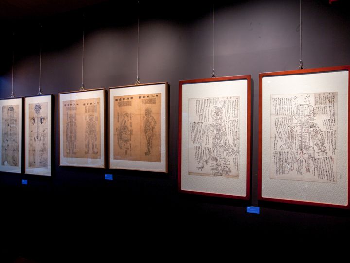 当時の医学水準を知ることができる
貴重な医学資料