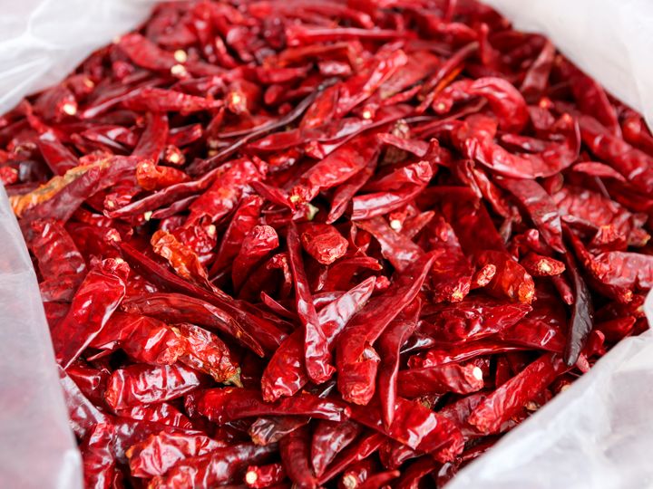 サイズが大きい江華とうがらし(B棟1階)