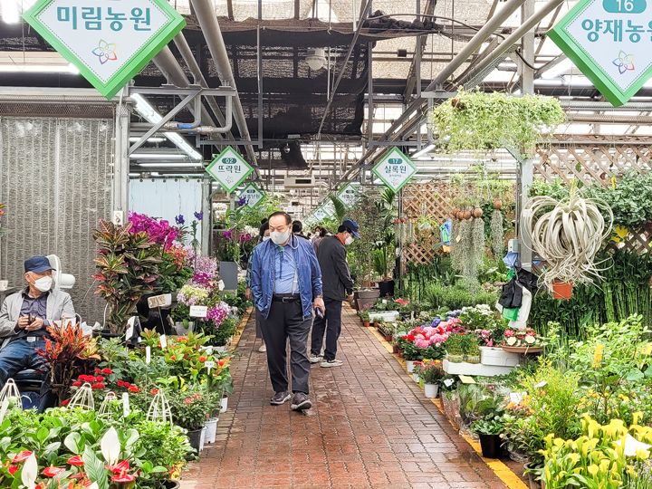 鉢物店が並びます