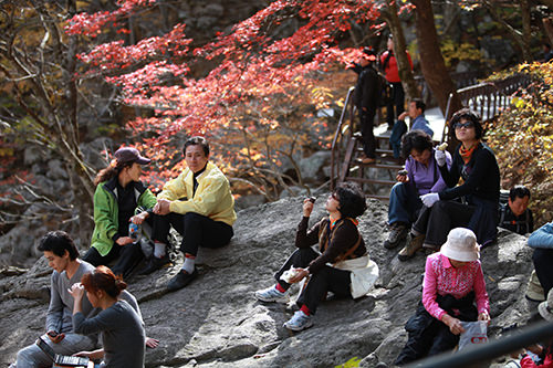 登山のエネルギー補給に
高カロリー!甘い!おいしい!
山のエネルギー食