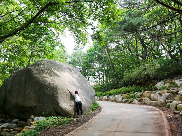 4mを超える大きな岩