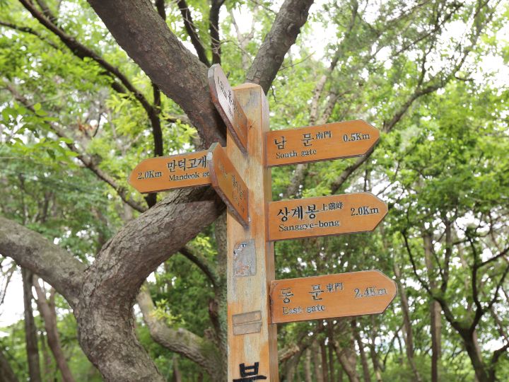 案内板には英語、漢字表示も