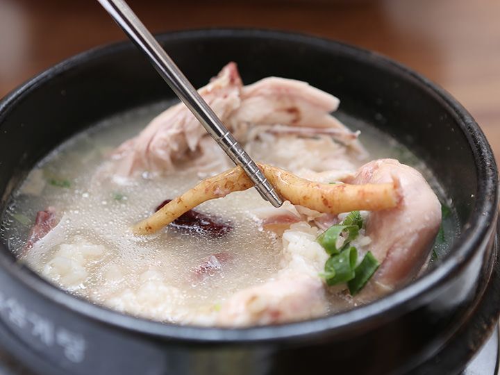 高麗人参