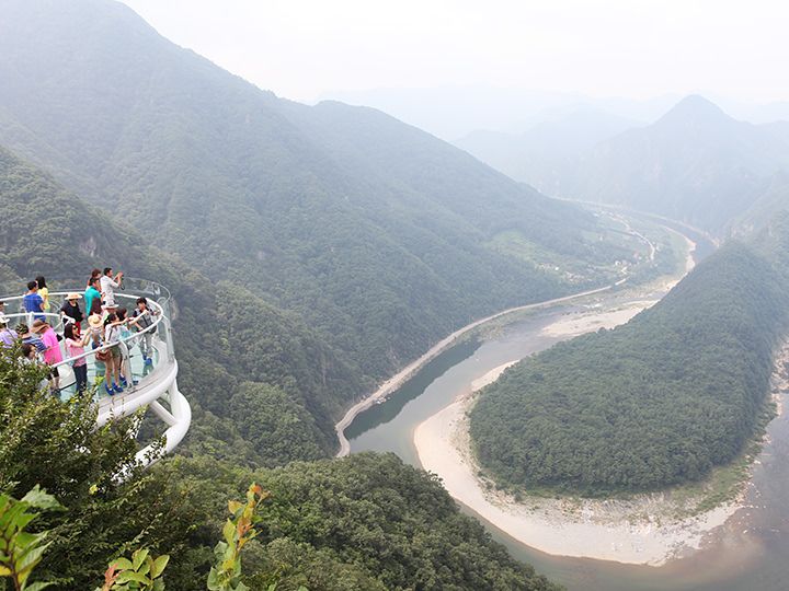 どこまでも続く緑を見渡せる