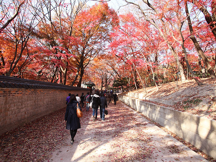 秋の秘苑は必見