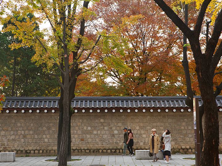 景福宮駅近くの塀