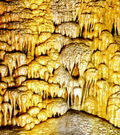 流れ石や洞窟珊瑚など
多様な生成物が集まる壁面