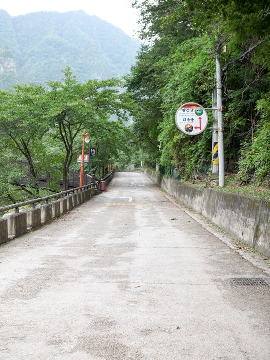 乗り場までは緑豊かな川沿いを歩いていく