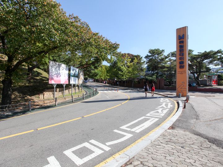 美術館へ向かう道