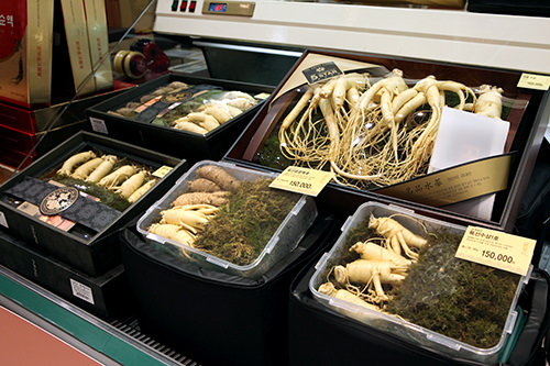 高麗人参

価格の目安：100,000～300,000ウォン

疲労回復・滋養強壮などに良いとされ人気の高麗人参。