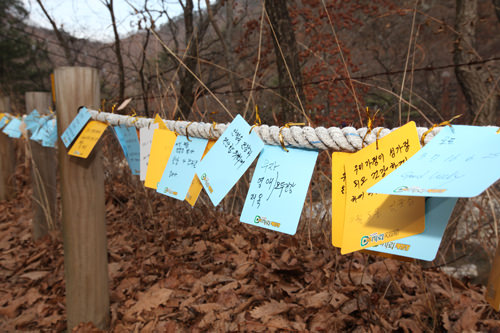 平和を願うメッセージたち