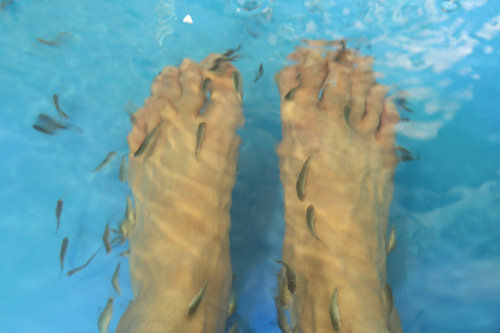 「よってきたぁ~」