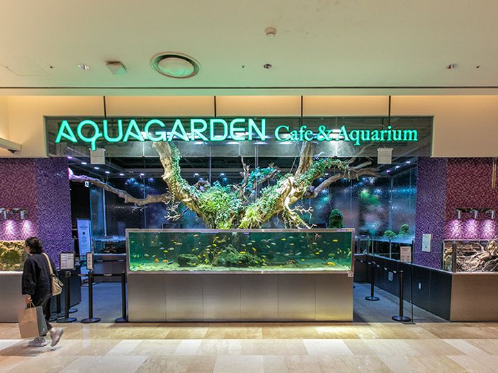 「アクアガーデンカフェ」
カップルやファミリーに人気!熱帯魚を眺めながらコーヒータイムを