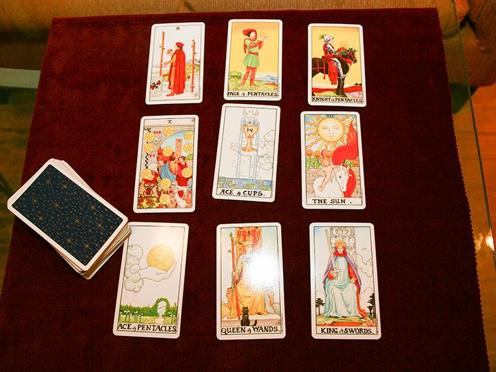 ※写真は以前に撮影したものです