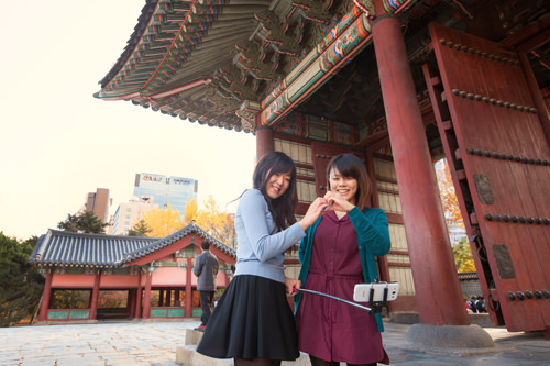 キレイな屋根の模様は…