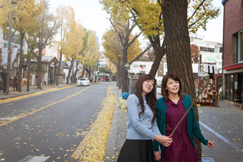 メイン通りもおさえとこ!