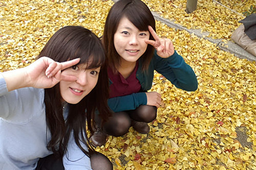 イチョウの絨毯は…