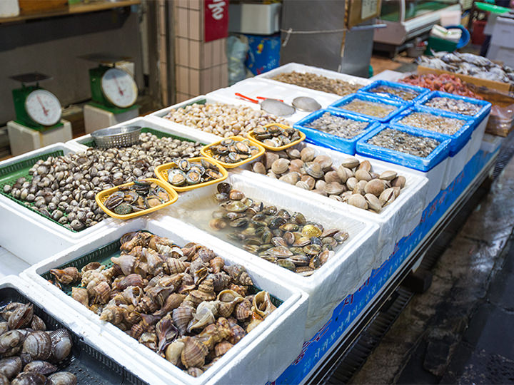 済州島の海でとれた新鮮な海産物