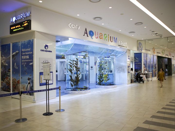 水族館「COEXアクアリウム」
