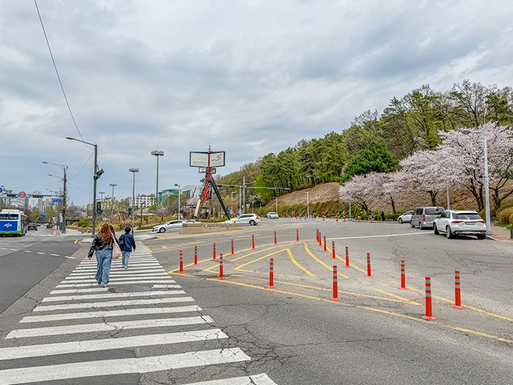 最初の横断歩道を渡れば「城南アートセンター」の敷地に到着
※桜の季節に撮影