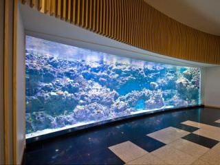 華やかな珊瑚礁と熱帯魚が観覧客をお出迎え「済州・文島(ムンソム)の水槽」