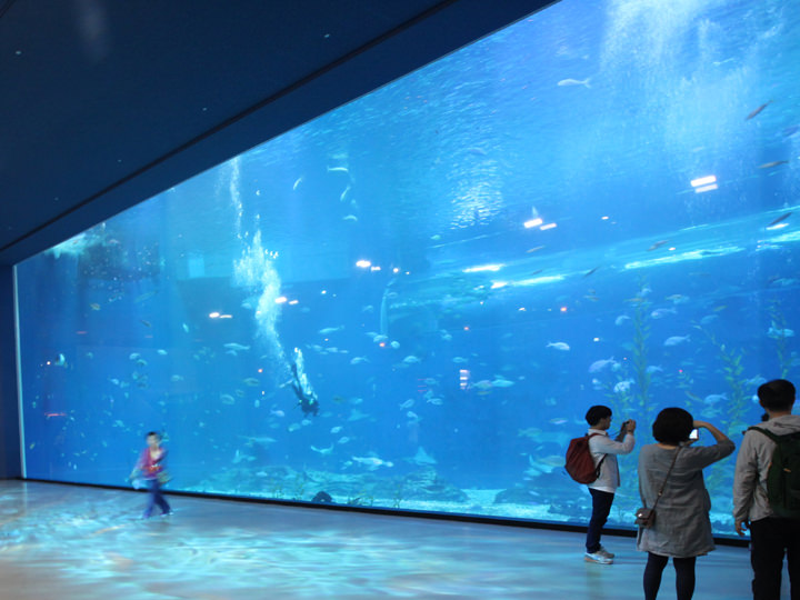 世界最大級の水族館「アクアプラネット済州」