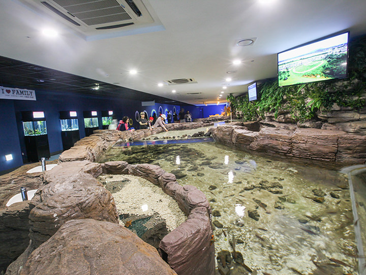 世界最大規模のタッチプール