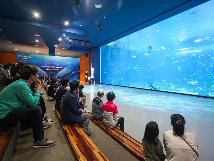 ショーが観られる観覧席