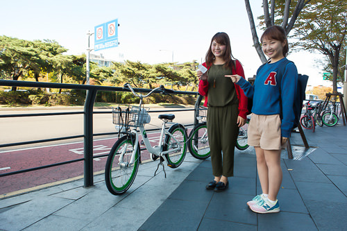 自転車は一旦入口前の道路沿いへ