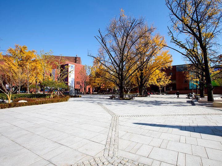 秋が最もきれいな「マロニエ公園」
