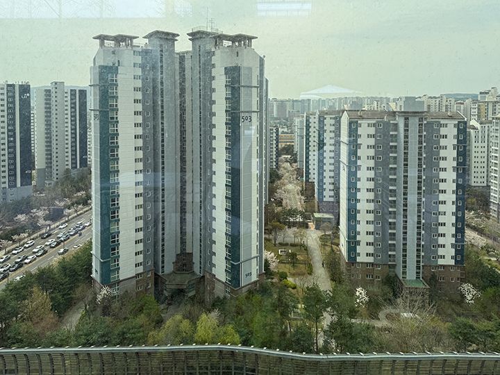 屋上からの眺め