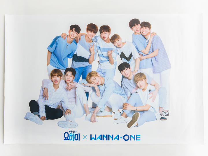 日 ワナワン デビュー