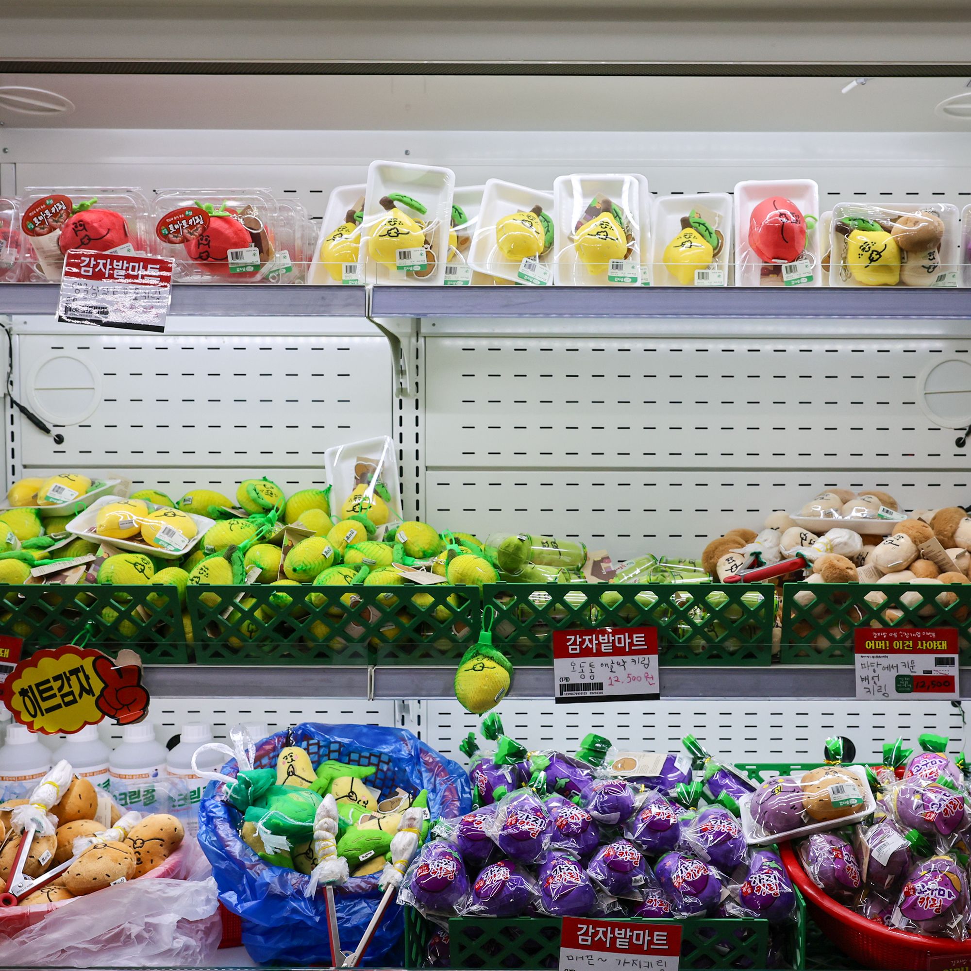 今話題！本物そっくり「野菜パン」は韓国・ソウルのどこで買える