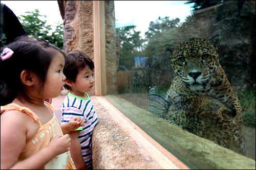 動物園に行こう Now ソウル 韓国旅行 コネスト
