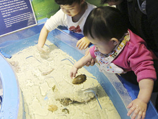 남매 ナムメ 兄弟姉妹 Today S韓国語 韓国旅行 コネスト 남매 ナムメ 兄弟姉妹 Today S韓国語 韓国旅行 コネスト