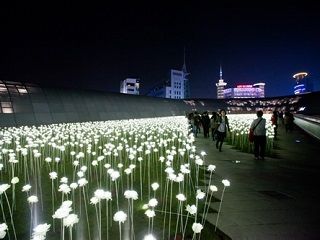 밝히다 パルキダ スケベだ 好きだ Today S韓国語 韓国旅行 コネスト