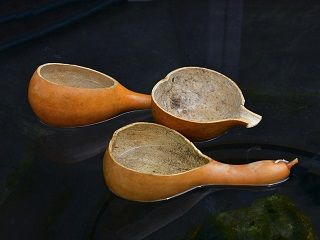 바가지를 쓰다