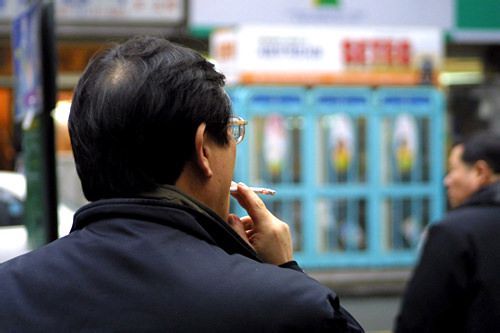 담배 담배