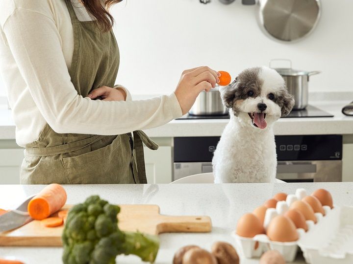 입맛이 없다 イムマシ オプタ