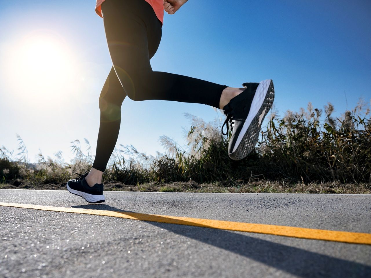 고고씽 コゴシン